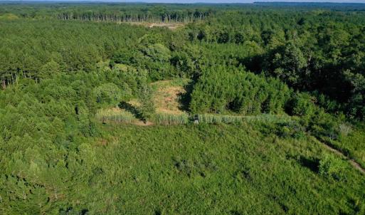Photo #49 of SOLD property in 46 Dennis Road, Wadesboro, NC 25.2 acres