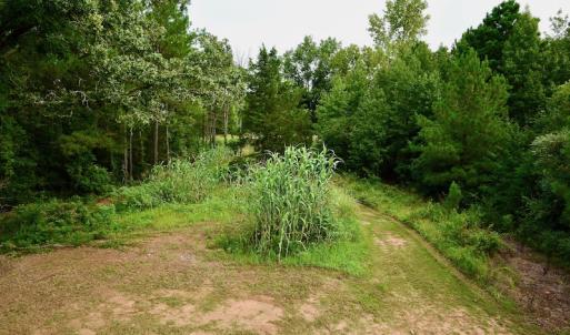 Photo #52 of SOLD property in 46 Dennis Road, Wadesboro, NC 25.2 acres