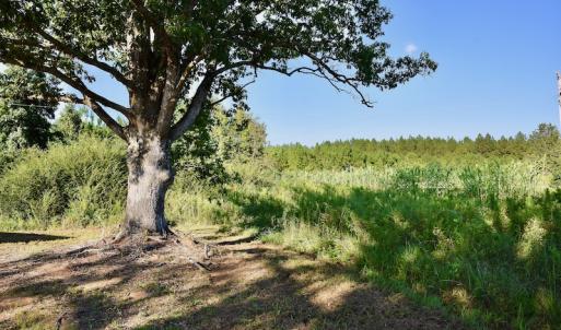 Photo #53 of SOLD property in 46 Dennis Road, Wadesboro, NC 25.2 acres