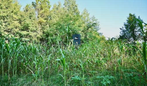 Photo #57 of SOLD property in 46 Dennis Road, Wadesboro, NC 25.2 acres