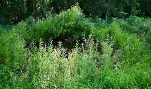 Photo #61 of SOLD property in 46 Dennis Road, Wadesboro, NC 25.2 acres