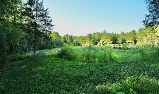 Photo #62 of SOLD property in 46 Dennis Road, Wadesboro, NC 25.2 acres