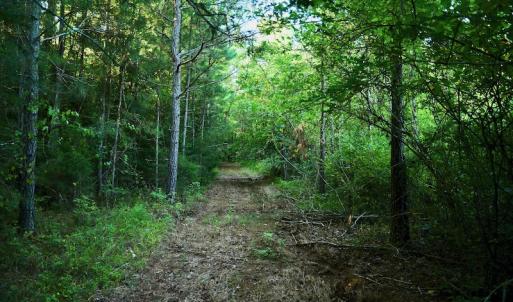 Photo #66 of SOLD property in 46 Dennis Road, Wadesboro, NC 25.2 acres