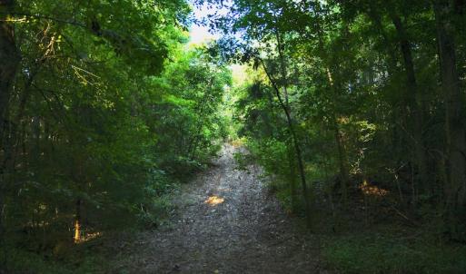 Photo #67 of SOLD property in 46 Dennis Road, Wadesboro, NC 25.2 acres