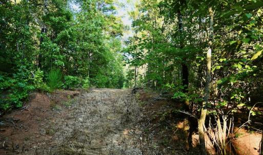 Photo #68 of SOLD property in 46 Dennis Road, Wadesboro, NC 25.2 acres