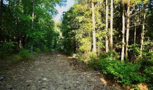 Photo #69 of SOLD property in 46 Dennis Road, Wadesboro, NC 25.2 acres