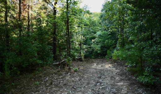 Photo #70 of SOLD property in 46 Dennis Road, Wadesboro, NC 25.2 acres
