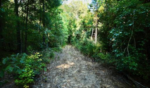 Photo #72 of SOLD property in 46 Dennis Road, Wadesboro, NC 25.2 acres