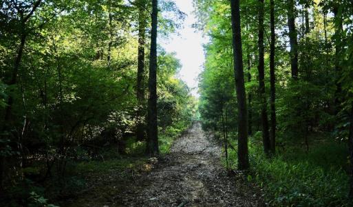 Photo #73 of SOLD property in 46 Dennis Road, Wadesboro, NC 25.2 acres