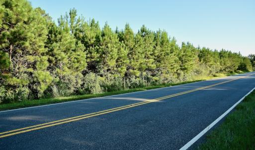 Photo #75 of SOLD property in 46 Dennis Road, Wadesboro, NC 25.2 acres