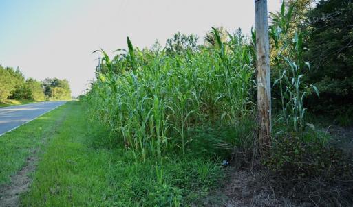 Photo #77 of SOLD property in 46 Dennis Road, Wadesboro, NC 25.2 acres