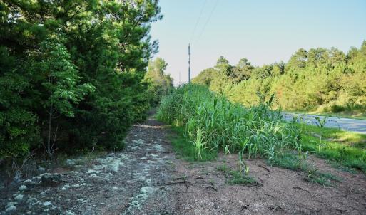 Photo #81 of SOLD property in 46 Dennis Road, Wadesboro, NC 25.2 acres