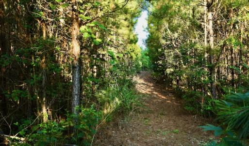 Photo #94 of SOLD property in 46 Dennis Road, Wadesboro, NC 25.2 acres