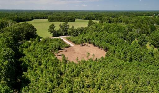 Photo #11 of SOLD property in Off Vicksboro Rd, Henderson, NC 11.5 acres