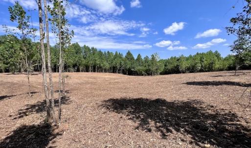 Photo #13 of SOLD property in Off Vicksboro Rd, Henderson, NC 11.5 acres