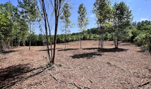 Photo #14 of SOLD property in Off Vicksboro Rd, Henderson, NC 11.5 acres