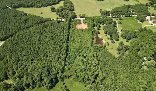 Photo #17 of SOLD property in Off Vicksboro Rd, Henderson, NC 11.5 acres