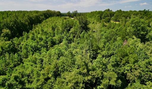 Photo #18 of SOLD property in Off Vicksboro Rd, Henderson, NC 11.5 acres