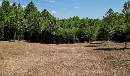 Photo #22 of SOLD property in Off Vicksboro Rd, Henderson, NC 11.5 acres