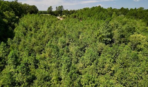 Photo #26 of SOLD property in Off Vicksboro Rd, Henderson, NC 11.5 acres