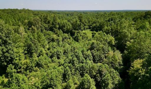 Photo #27 of SOLD property in Off Vicksboro Rd, Henderson, NC 11.5 acres