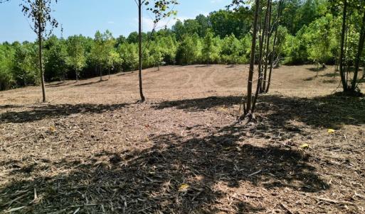 Photo #28 of SOLD property in Off Vicksboro Rd, Henderson, NC 11.5 acres