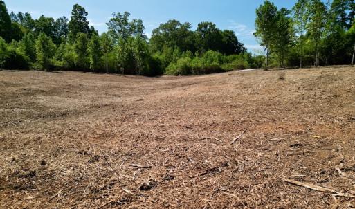 Photo #29 of SOLD property in Off Vicksboro Rd, Henderson, NC 11.5 acres