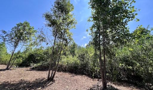 Photo #34 of SOLD property in Off Vicksboro Rd, Henderson, NC 11.5 acres