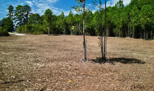 Photo #36 of SOLD property in Off Vicksboro Rd, Henderson, NC 11.5 acres