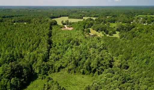 Photo #7 of SOLD property in Off Vicksboro Rd, Henderson, NC 11.5 acres