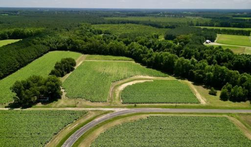Photo #2 of SOLD property in Off Howell Swamp Church Rd, Walstonburg, NC 18.6 acres