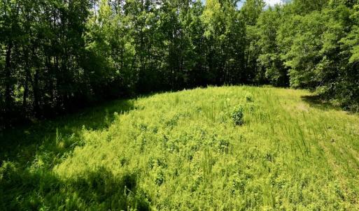 Photo #11 of SOLD property in Off Howell Swamp Church Rd, Walstonburg, NC 18.6 acres