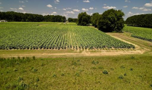 Photo #13 of SOLD property in Off Howell Swamp Church Rd, Walstonburg, NC 18.6 acres