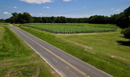Photo #14 of SOLD property in Off Howell Swamp Church Rd, Walstonburg, NC 18.6 acres