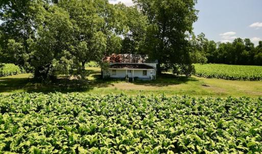 Photo #3 of SOLD property in Off Howell Swamp Church Rd, Walstonburg, NC 18.6 acres