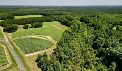 Photo #4 of SOLD property in Off Howell Swamp Church Rd, Walstonburg, NC 18.6 acres