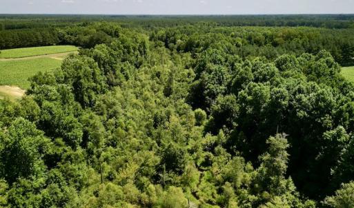 Photo #5 of SOLD property in Off Howell Swamp Church Rd, Walstonburg, NC 18.6 acres