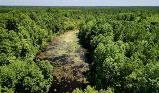 Photo #6 of SOLD property in Off Howell Swamp Church Rd, Walstonburg, NC 18.6 acres