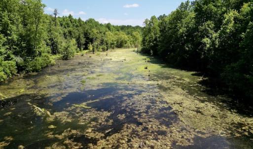 Photo #7 of SOLD property in Off Howell Swamp Church Rd, Walstonburg, NC 18.6 acres