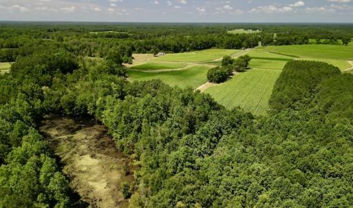 Photo #8 of SOLD property in Off Howell Swamp Church Rd, Walstonburg, NC 18.6 acres