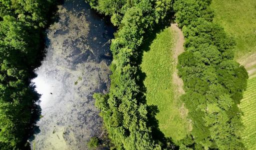 Photo #9 of SOLD property in Off Howell Swamp Church Rd, Walstonburg, NC 18.6 acres