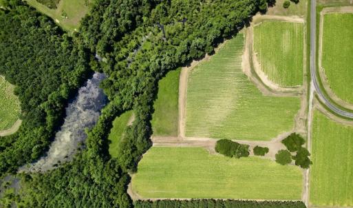 Photo #10 of SOLD property in Off Howell Swamp Church Rd, Walstonburg, NC 18.6 acres