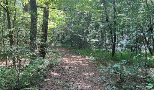 Photo #2 of SOLD property in Off Tollie Weldon Road, Henderson, NC 6.5 acres