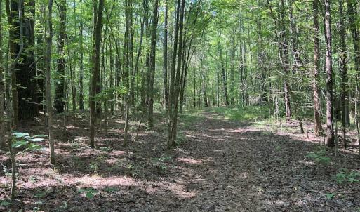 Photo #3 of SOLD property in Off Tollie Weldon Road, Henderson, NC 6.5 acres