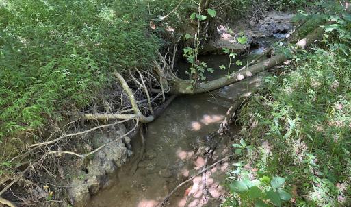 Photo #4 of SOLD property in Off Tollie Weldon Road, Henderson, NC 6.5 acres