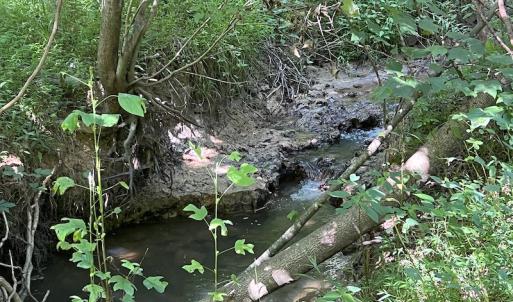 Photo #5 of SOLD property in Off Tollie Weldon Road, Henderson, NC 6.5 acres