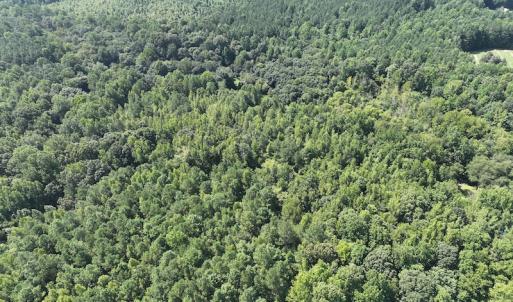 Photo #6 of SOLD property in Off Tollie Weldon Road, Henderson, NC 6.5 acres