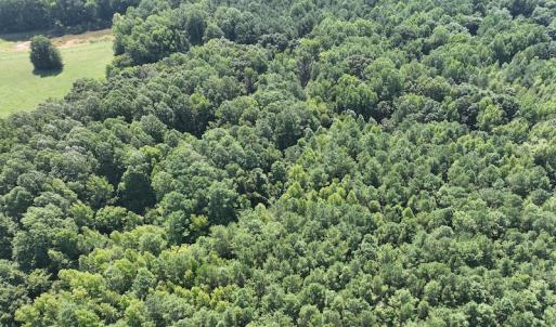 Photo #7 of SOLD property in Off Tollie Weldon Road, Henderson, NC 6.5 acres