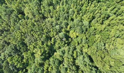 Photo #10 of SOLD property in Off Tollie Weldon Road, Henderson, NC 6.5 acres