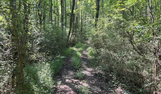 Photo #19 of SOLD property in Off Tollie Weldon Road, Henderson, NC 6.5 acres